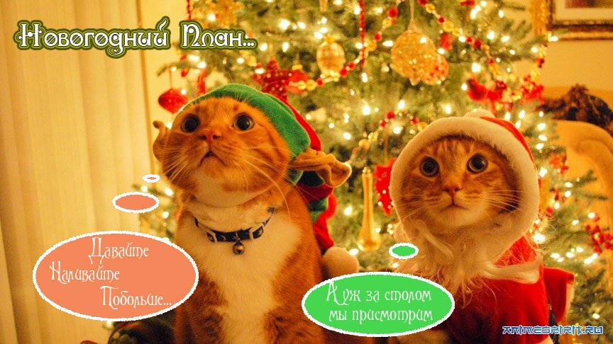 � ����� 2014 ����� !!! New Year !!!