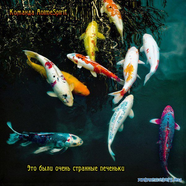 Happy Birthday, Nargiel!