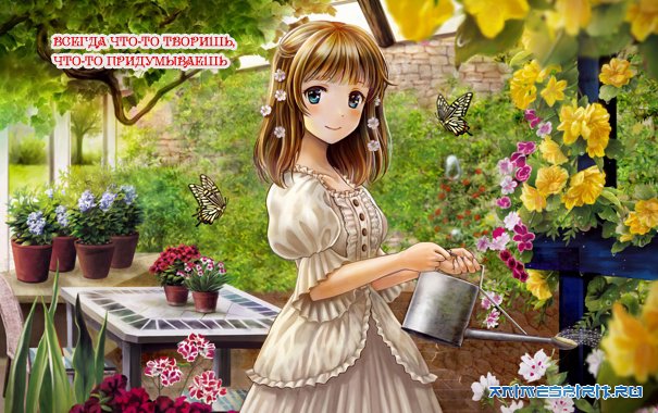 � ���� ��������, Bis777!