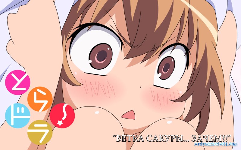 � ���� ��������, xaruko! / Happy Birthday, xaruko!