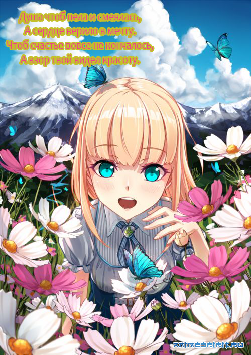 � ���� ��������, Bis777!