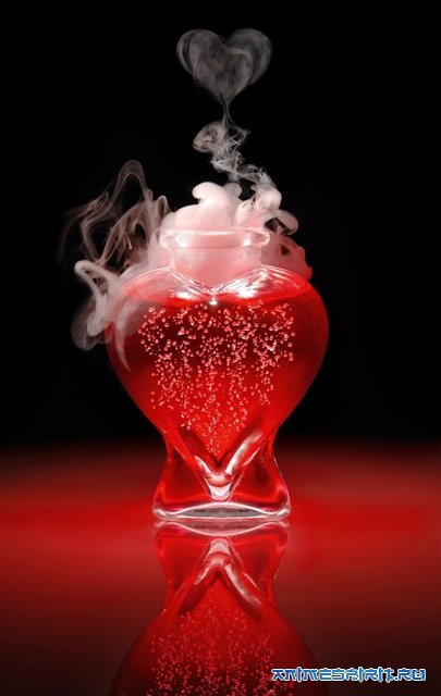 � ���� ��������, xaruko! / Happy Birthday, xaruko!