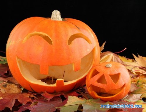 � ���� ��������, xaruko! / Happy Birthday, xaruko!