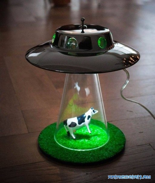 � ���� ��������, xaruko! / Happy Birthday, xaruko!