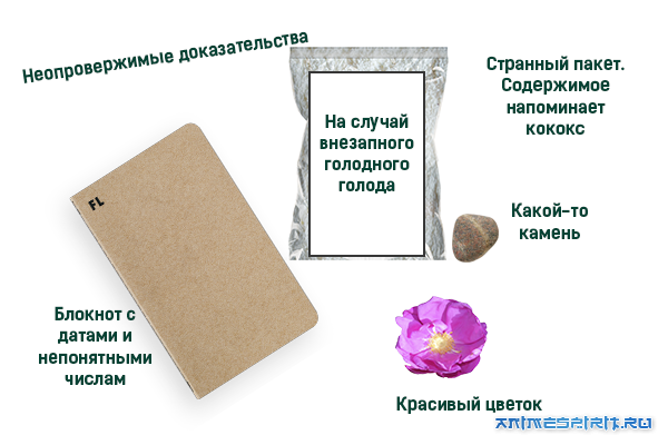 � ���� �������� �����