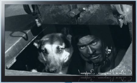 � ���� ��������, ��������� !!! / Happy Birthday, Elofrin!!!