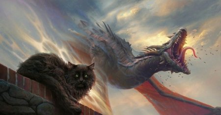 Happy Birthday, Shevar! /  � ���� ��������, �����!