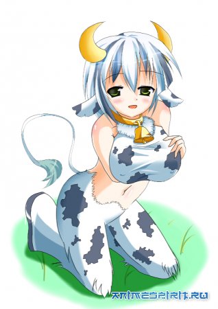 � ���� ��������, �� !